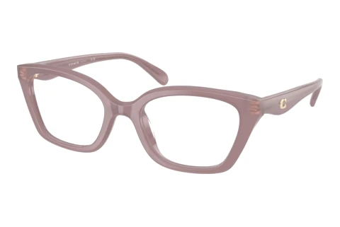 Occhiali design Coach HC6270U 5495