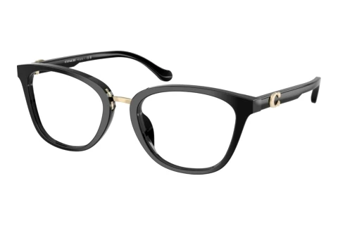 Occhiali design Coach HC6272U 5002