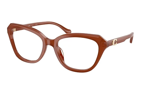 Occhiali design Coach HC6273U 5841
