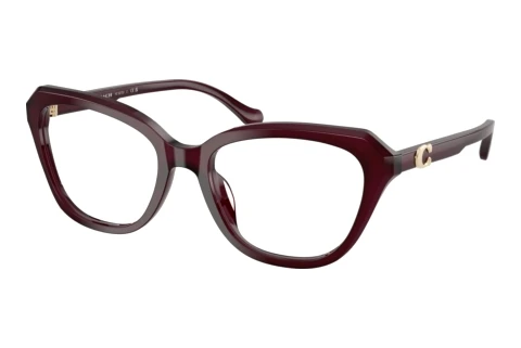 Occhiali design Coach HC6273U 5915