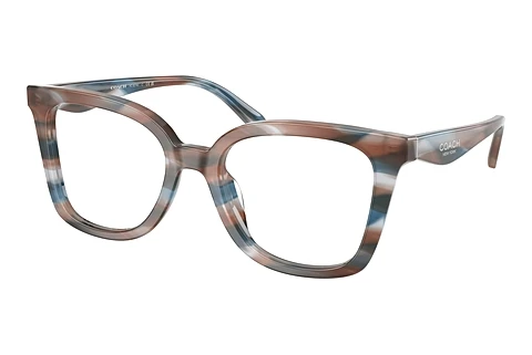 Occhiali design Coach HC6274U 5899