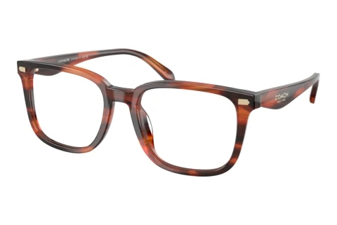 Occhiali design Coach HC6276U 5906