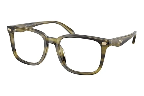 Occhiali design Coach HC6276U 5907