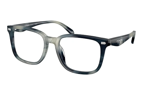 Occhiali design Coach HC6276U 5909