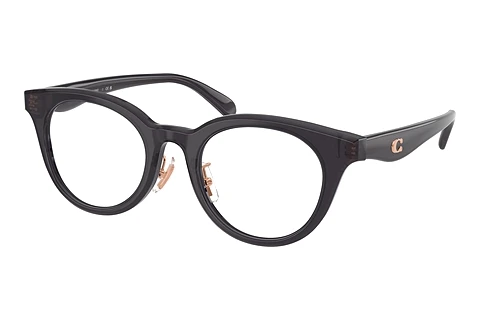 Occhiali design Coach HC6280D 5104