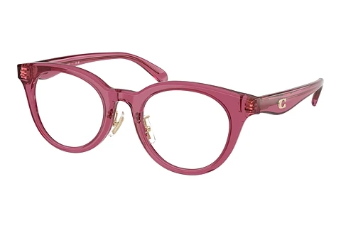Occhiali design Coach HC6280D 5824