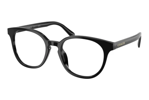 Occhiali design Coach HC6301U 5002