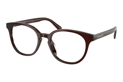 Occhiali design Coach HC6301U 5968