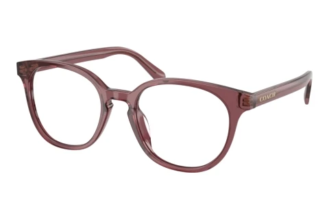 Occhiali design Coach HC6301U 5969