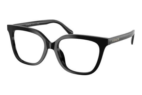Occhiali design Coach HC6302U 5002