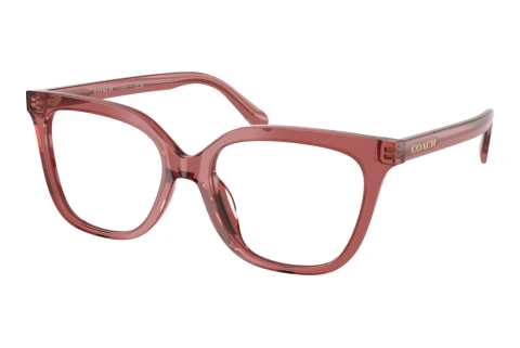Occhiali design Coach HC6302U 5961