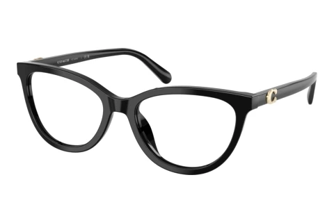 Occhiali design Coach HC6304U 5002