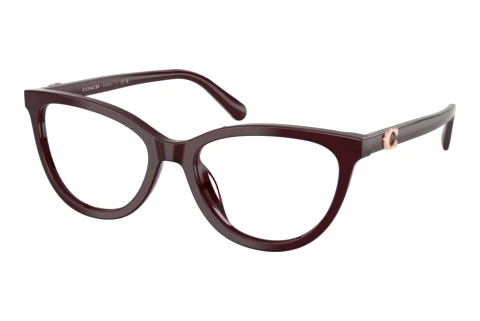 Occhiali design Coach HC6304U 5970