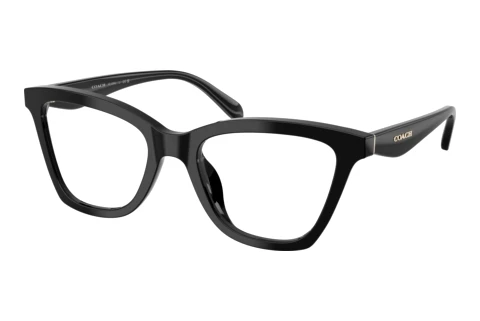 Occhiali design Coach HC6306U 5002