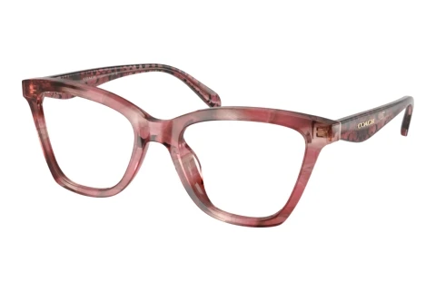Occhiali design Coach HC6306U 5964