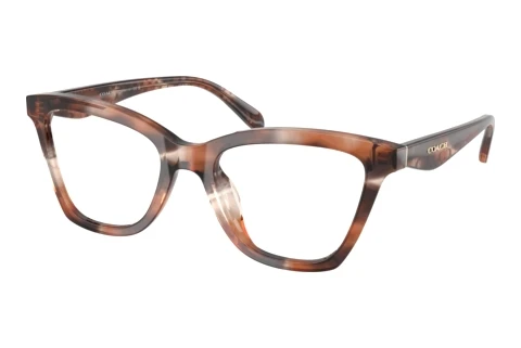 Occhiali design Coach HC6306U 5965