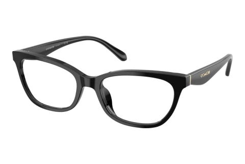 Occhiali design Coach HC6307U 5002