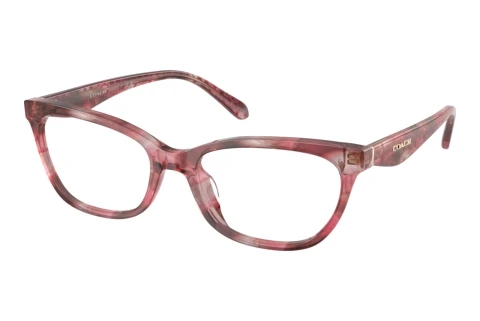 Occhiali design Coach HC6307U 5964