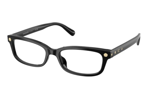 Occhiali design Coach HC6308U 5002