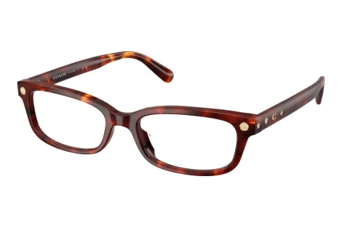 Occhiali design Coach HC6308U 5938