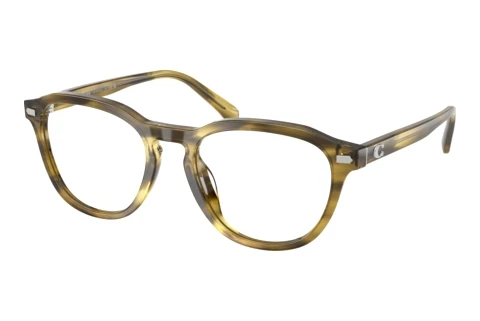 Occhiali design Coach HC6311U 5945