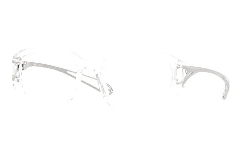 Occhiali design Diesel DL4009 2005