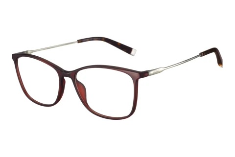 Occhiali design Esprit ET33555 531