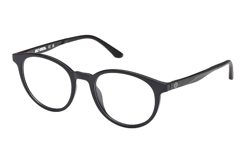 Occhiali design Harley-Davidson HD50022 002