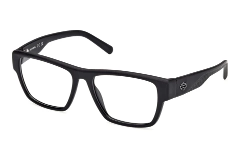 Occhiali design Harley-Davidson HD50110 002