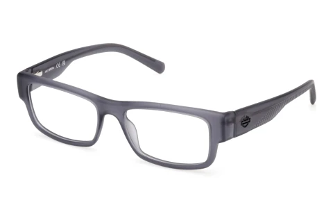 Occhiali design Harley-Davidson HD50111 020