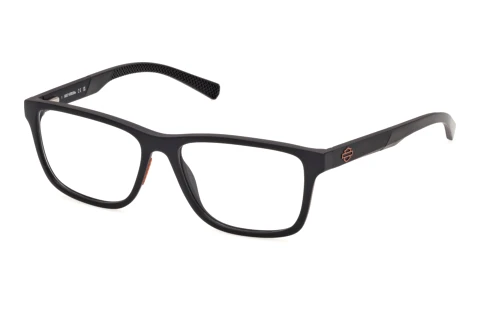Occhiali design Harley-Davidson HD50154 002