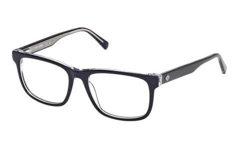 Occhiali design Harley-Davidson HD50157 090