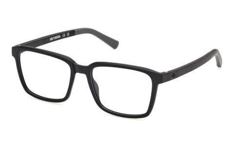 Occhiali design Harley-Davidson HD50158 002