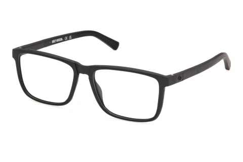 Occhiali design Harley-Davidson HD50159 002