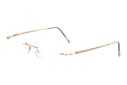 Occhiali design Silhouette Racing Collection (5502-BT 8541)