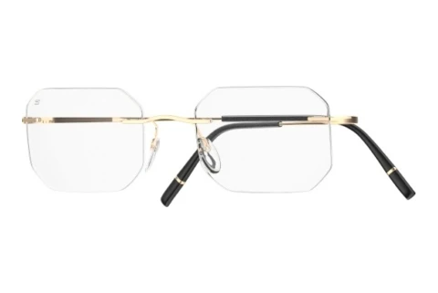 Occhiali design Silhouette Titan Minimal Art Stellar (5599-QL 7530)