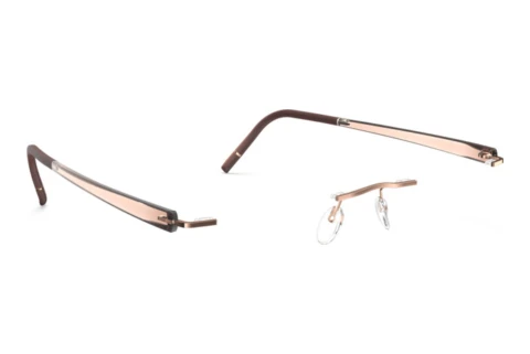 Occhiali design Silhouette The Sky (5600-AW 3630)