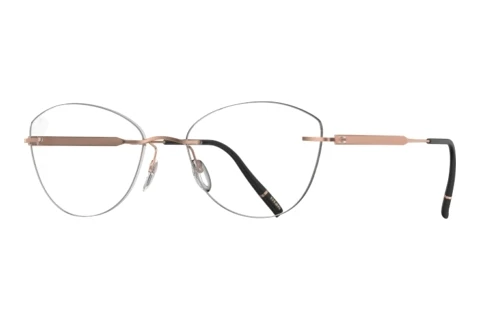 Occhiali design Silhouette The Timeless Visionary (5603-CJ 3530)