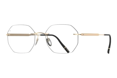 Occhiali design Silhouette The Timeless Visionary (5603-KZ 7530)
