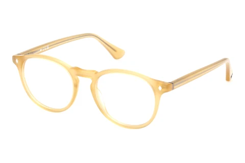 Occhiali design Web Eyewear WE5387 041