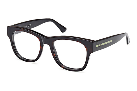 Occhiali design Web Eyewear WE5423 052