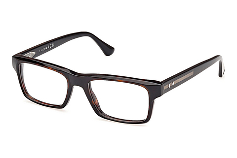 Occhiali design Web Eyewear WE5432 056