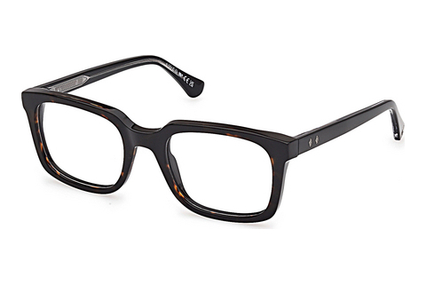 Occhiali design Web Eyewear WE5445 056