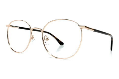 Occhiali design Wood Fellas Braunfels (11010 curled/gold)