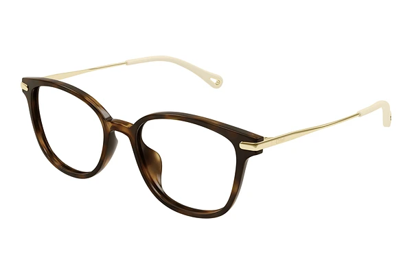 Occhiali design Chloé CH0219OA 002