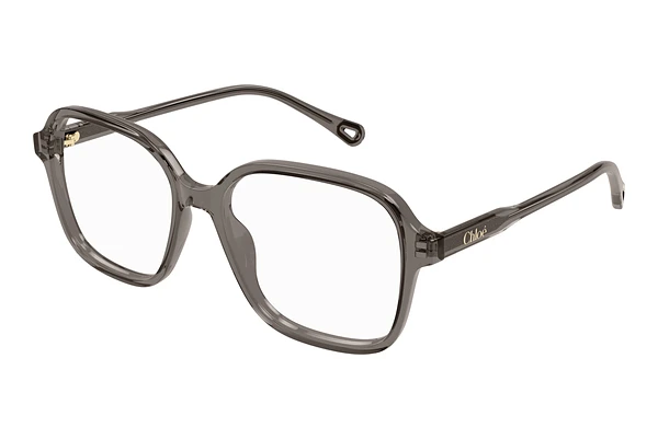 Occhiali design Chloé CH0313O 003