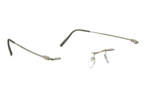 Occhiali design Silhouette The Refined (5593-BA 6541)