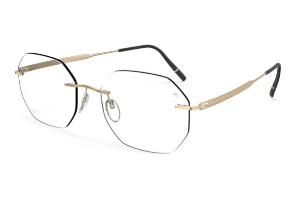 Occhiali design Silhouette The Timeless Visionary (5603-GH 7530)
