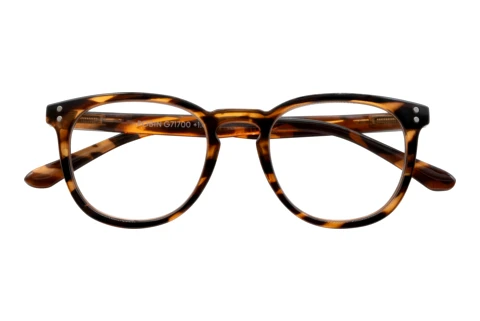  I NEED YOU ROBIN havanna D3.50