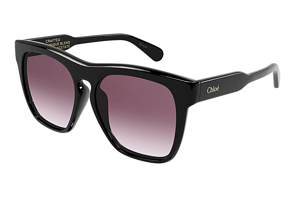 Chloé   CH0149SA 001 BLACK